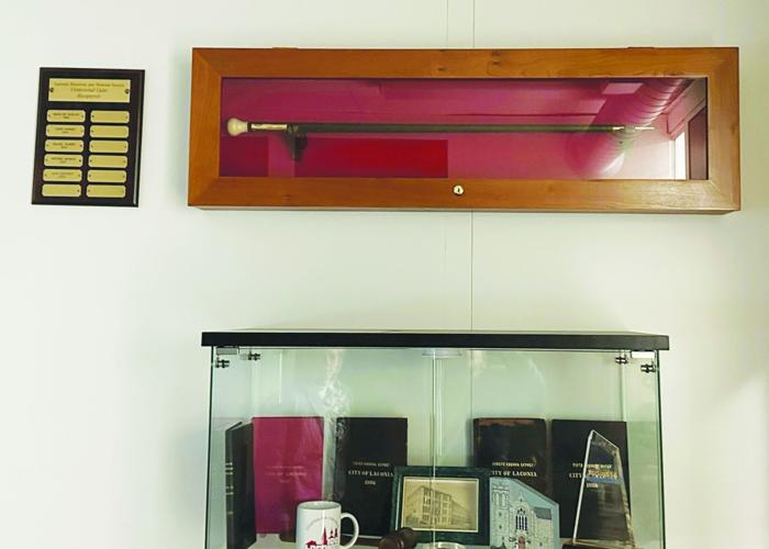 Cenntenial Cane case