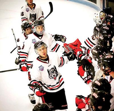 NE Wolves partner with NH Humane Society Nov. 18