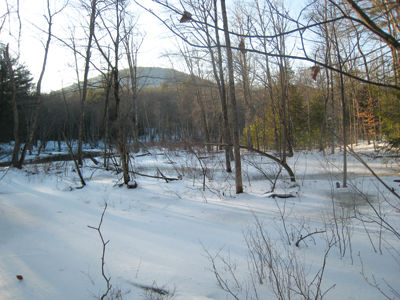 Effort to preserve important Moultonborough wildlife habitat nears success