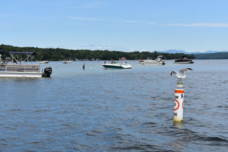 08-08 Sandbar Seagull