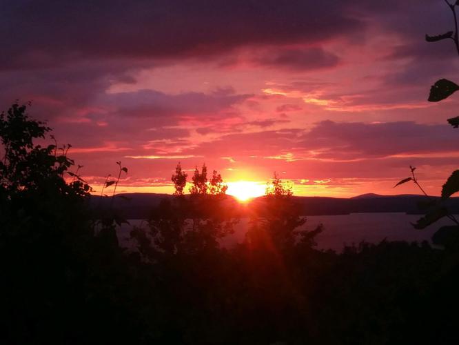 Reader Pics: June 16