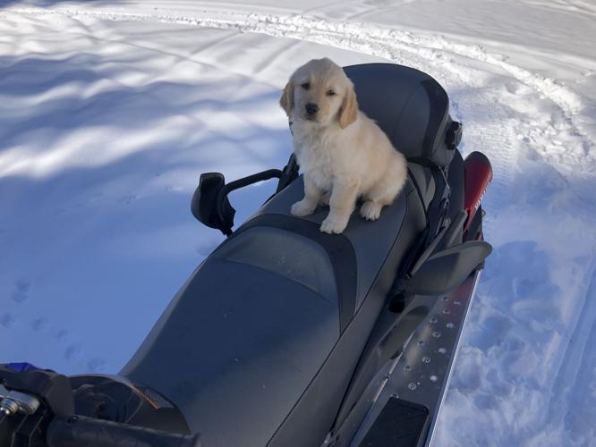 Reader Pics: March 11