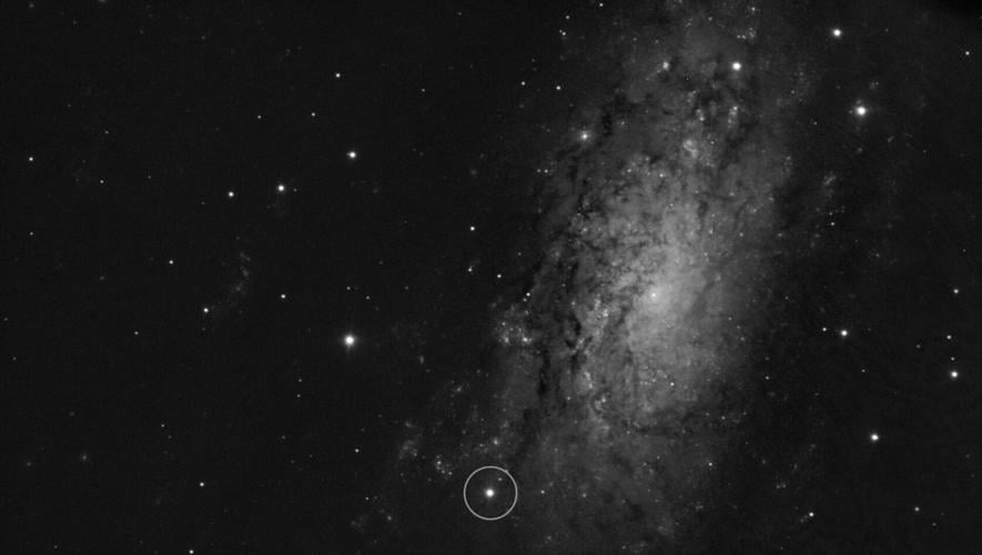 Scientists reveal true shape of exploding supernova – and it’s like an olive