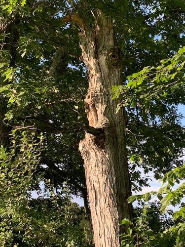 Reader Pics: Aug. 28