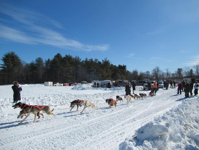 Reader Pics: Feb. 23