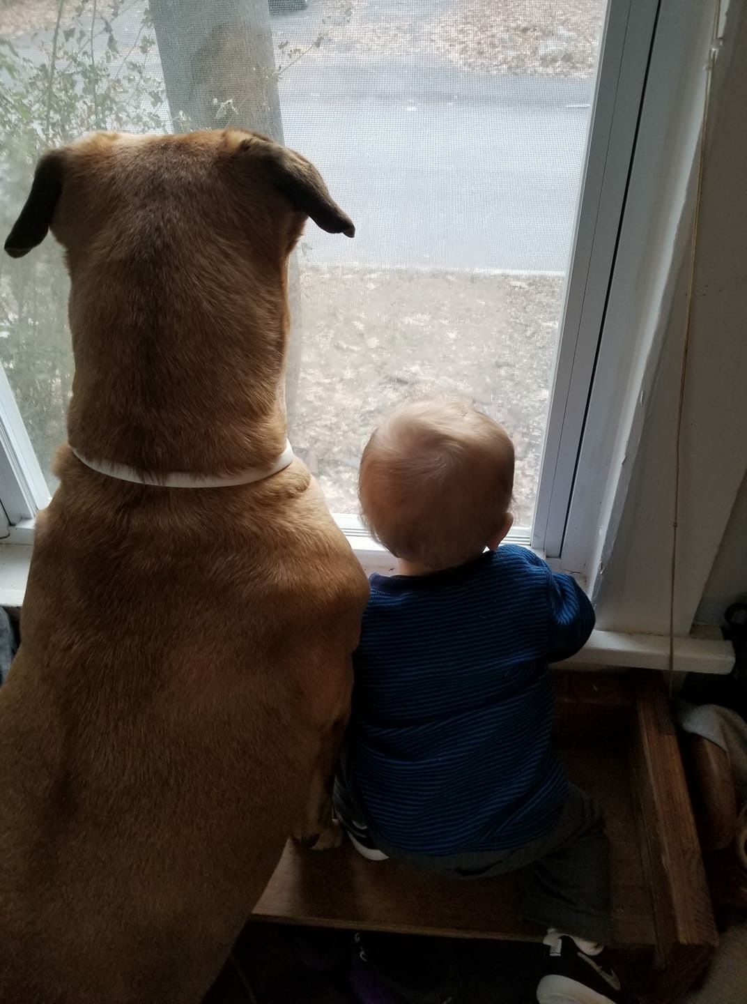 Reader Pics: Dec. 8
