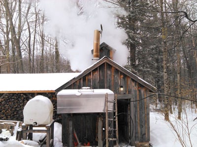Maple producers open doors to visitors this weekend
