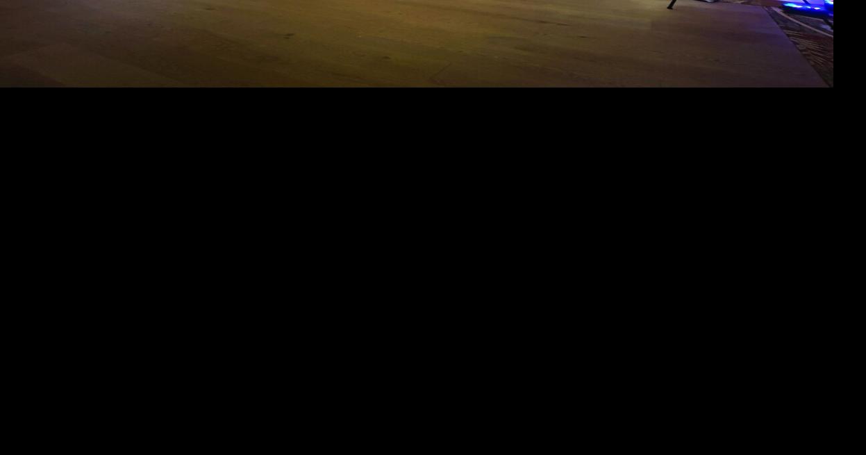 Humane society fundraiser earns nearly $300K