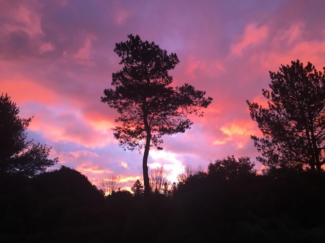 Reader Pics: Nov. 17