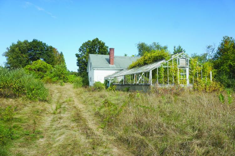 Greenhouse