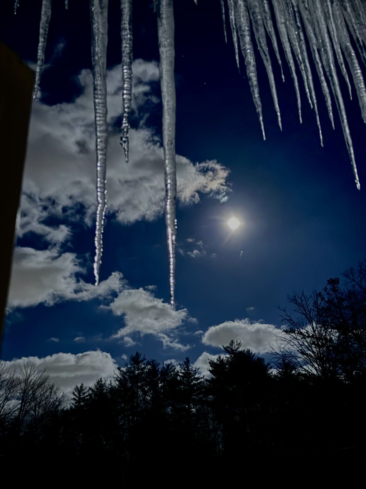 Reader Pics: Feb. 17