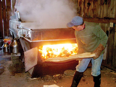 Maple syrup season off to good start
