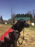 Training the Ultimate Guardians