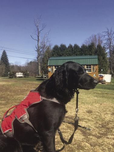 04-21 Guardians Luna