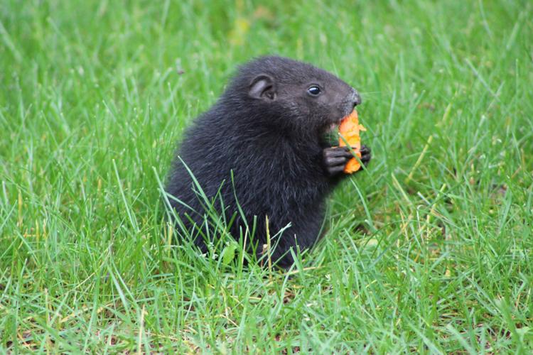 Reader Pics: June 23