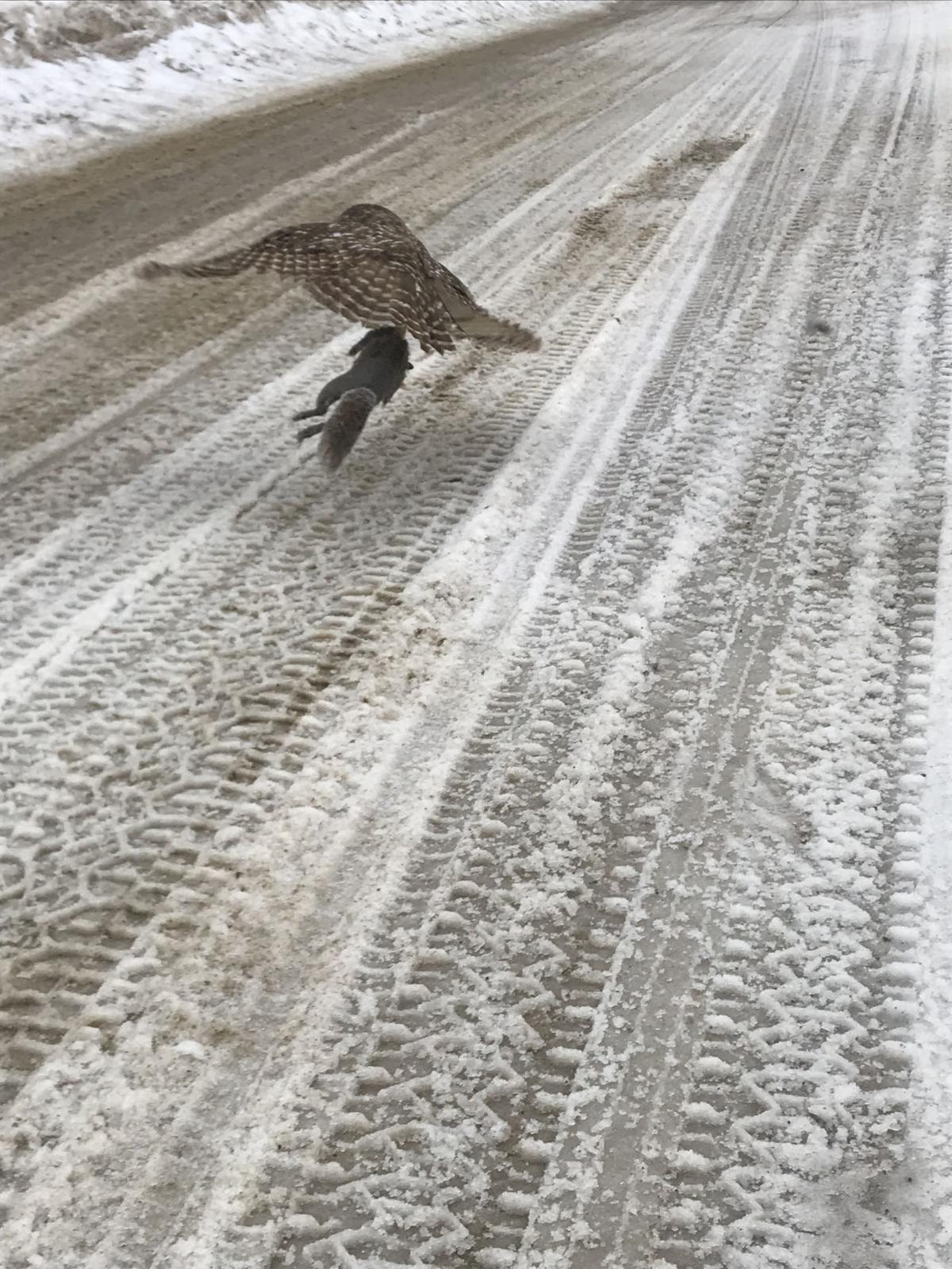 Reader Pics: Feb. 10
