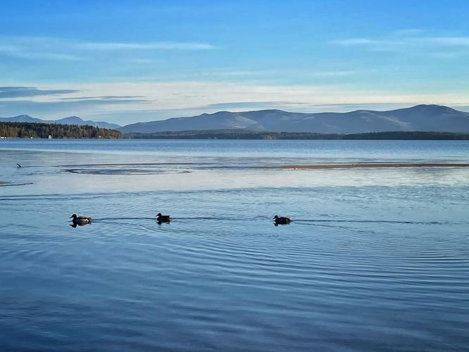 Reader Pics: April 16