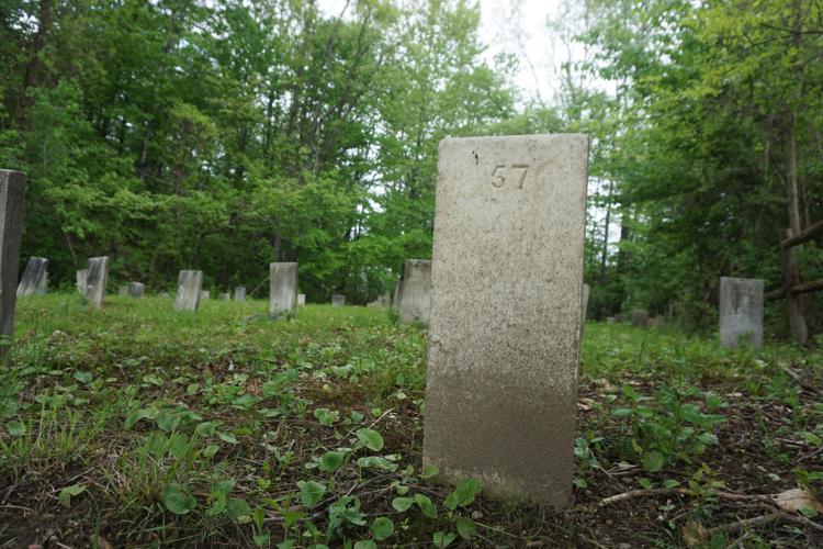 May 2025: Primrose Cemetery