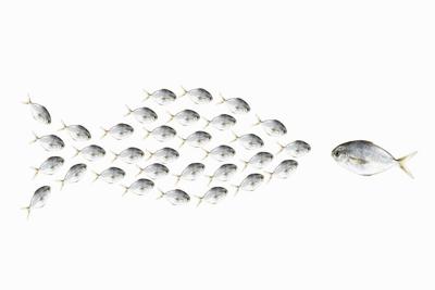 A need to be seen as the biggest fish may stem from pride and insecurity.