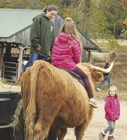 My therapist is a big ox; Who's yours?
