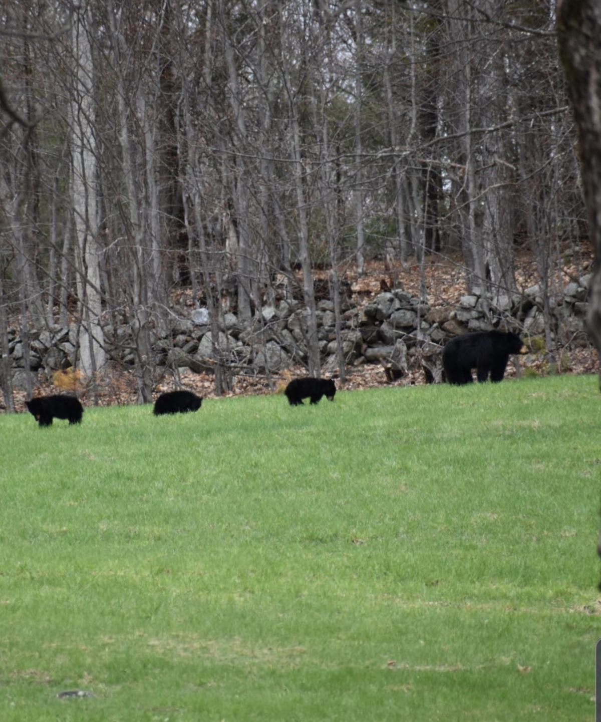 Reader Pics: May 5