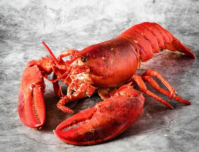 monika-borys-kxo-K3LGz3I-unsplash