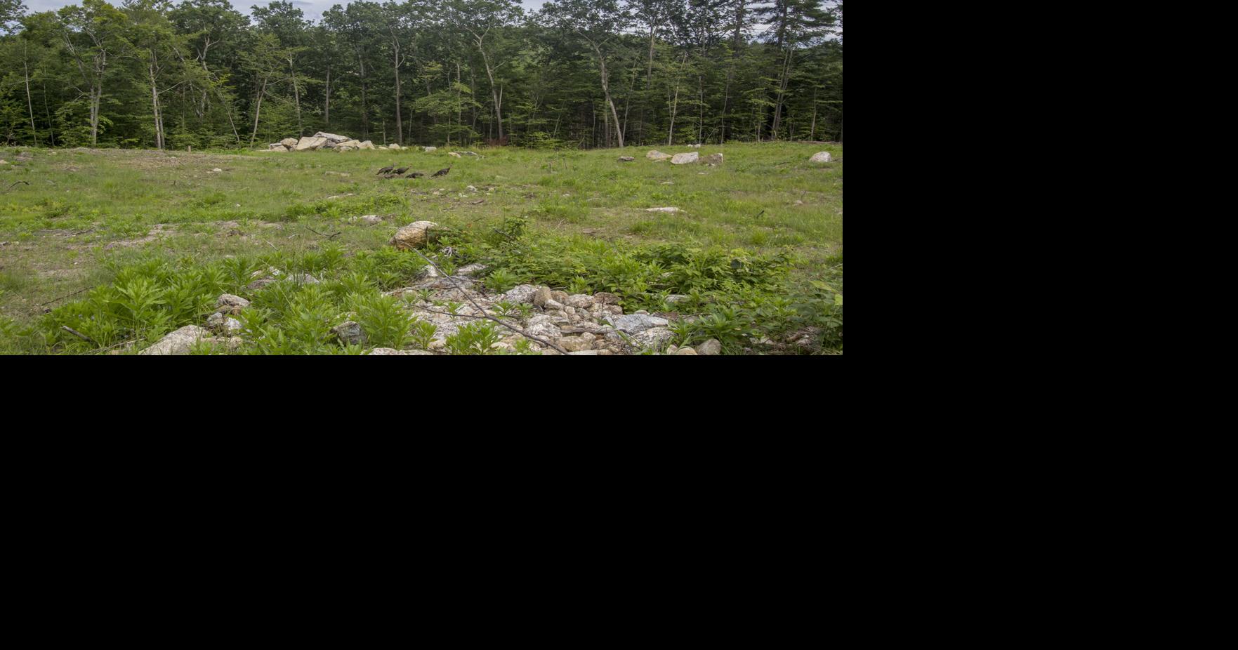 Green light for 100-RV campground on Route 3