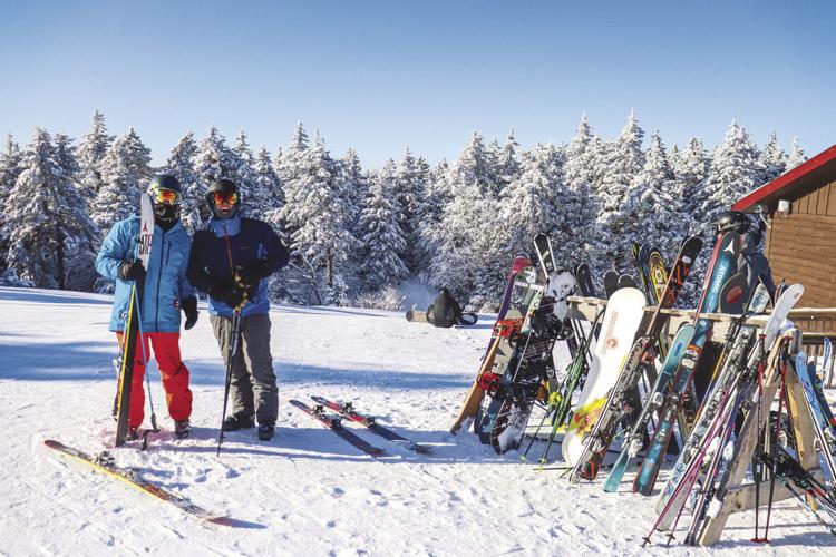 Gunstock Feb