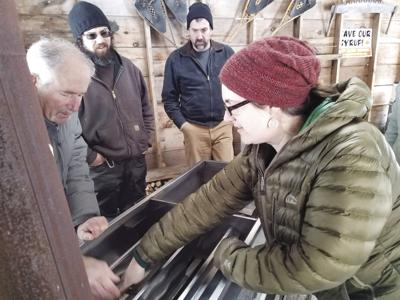 Maple boiler