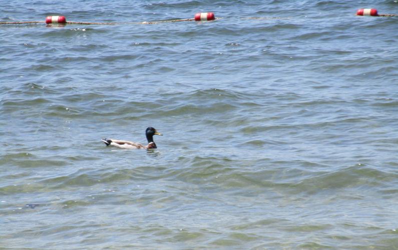 Reader Pics: June 29