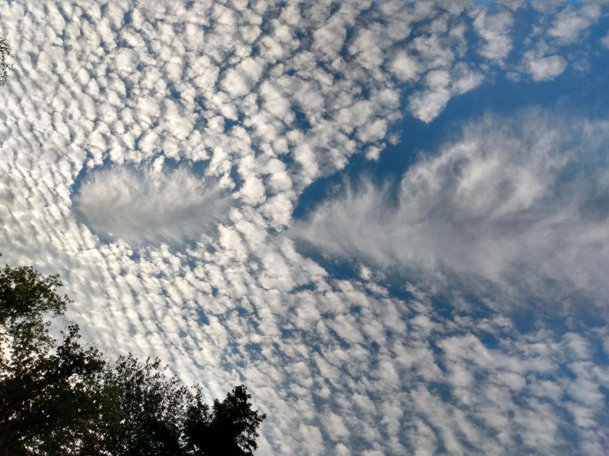 Reader Pics: Sept. 2