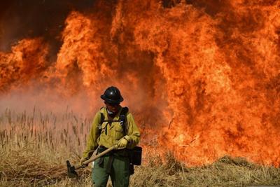 Large-scale wildfires seem to turn visitors away, while prescribed burning may have the opposite effect.