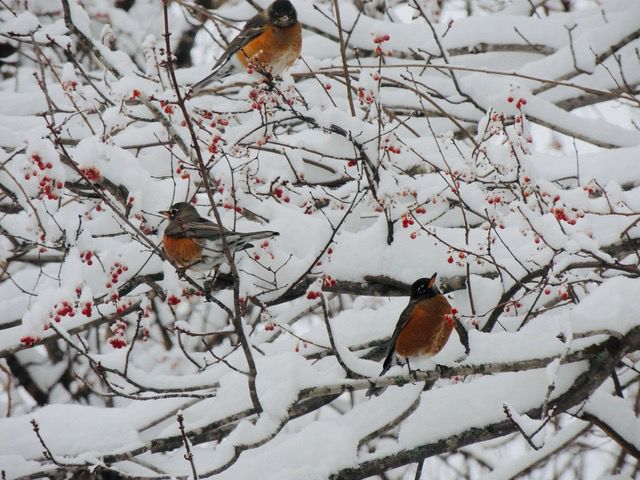 Reader Pics: March 7