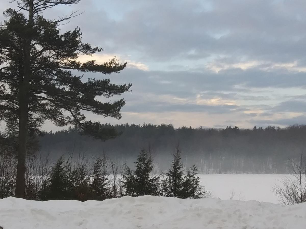 Reader Pics: Feb. 6