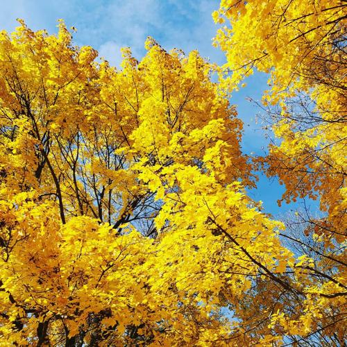 Reader Pics: Nov. 7 - 4