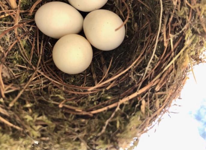 Reader Pics: June 19