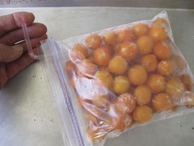cherry tomatoes