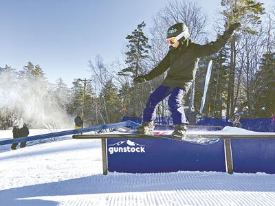 Gunstock