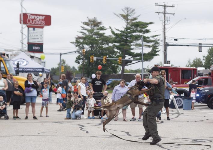 Obedience demonstration