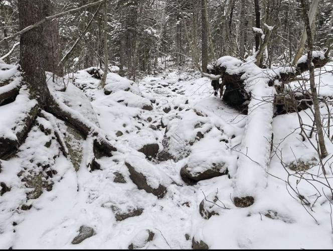 White Mountain Trail