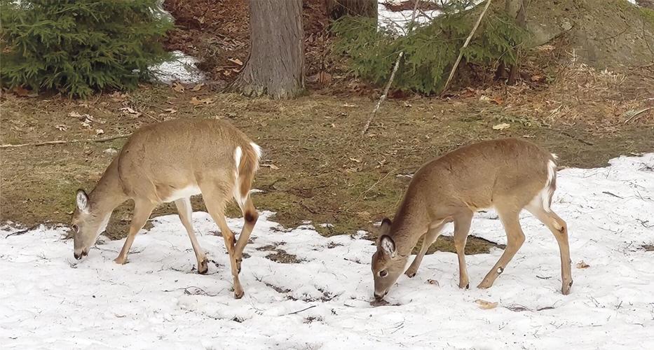 Reader Pics: March 31