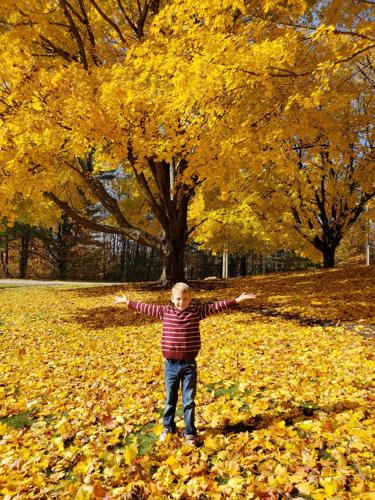 Reader Pics: Nov. 7 - 2