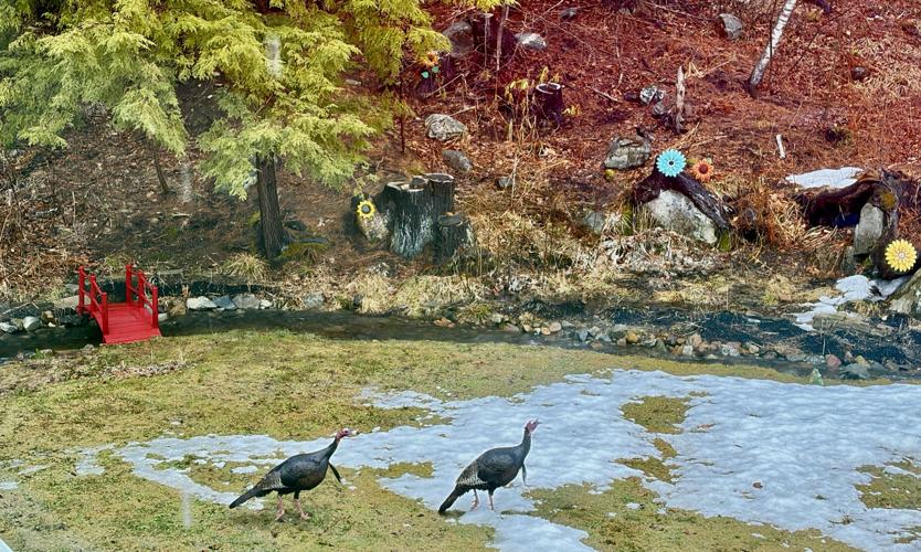 Reader Pics: March 20