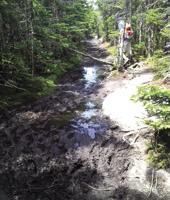 Protect Trails During Mud Season