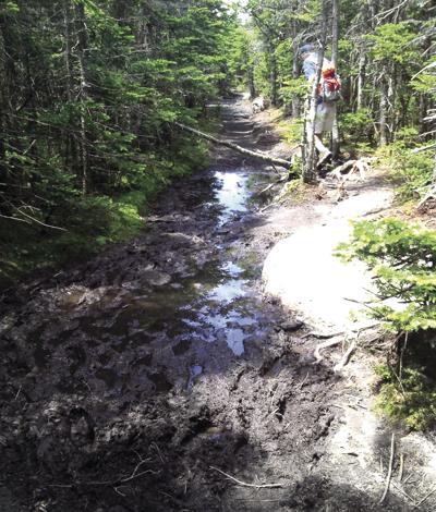 04-12 OD Mud season