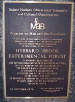 Walking through a forest laboratory