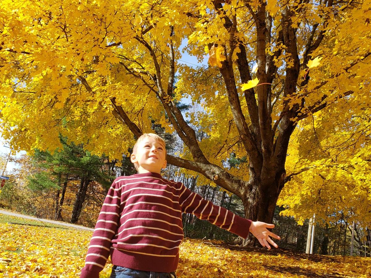 Reader Pics: Nov. 7