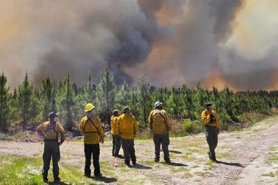 Fire crews responded to dozens of wildfires burning in Georgia and northern Florida on April 23, 2026.