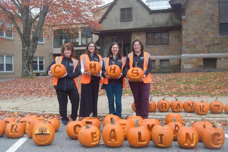 Concord Hospital Health System volunteers