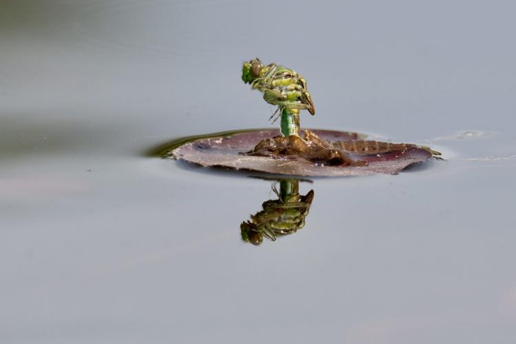 Reader Pics: June 12